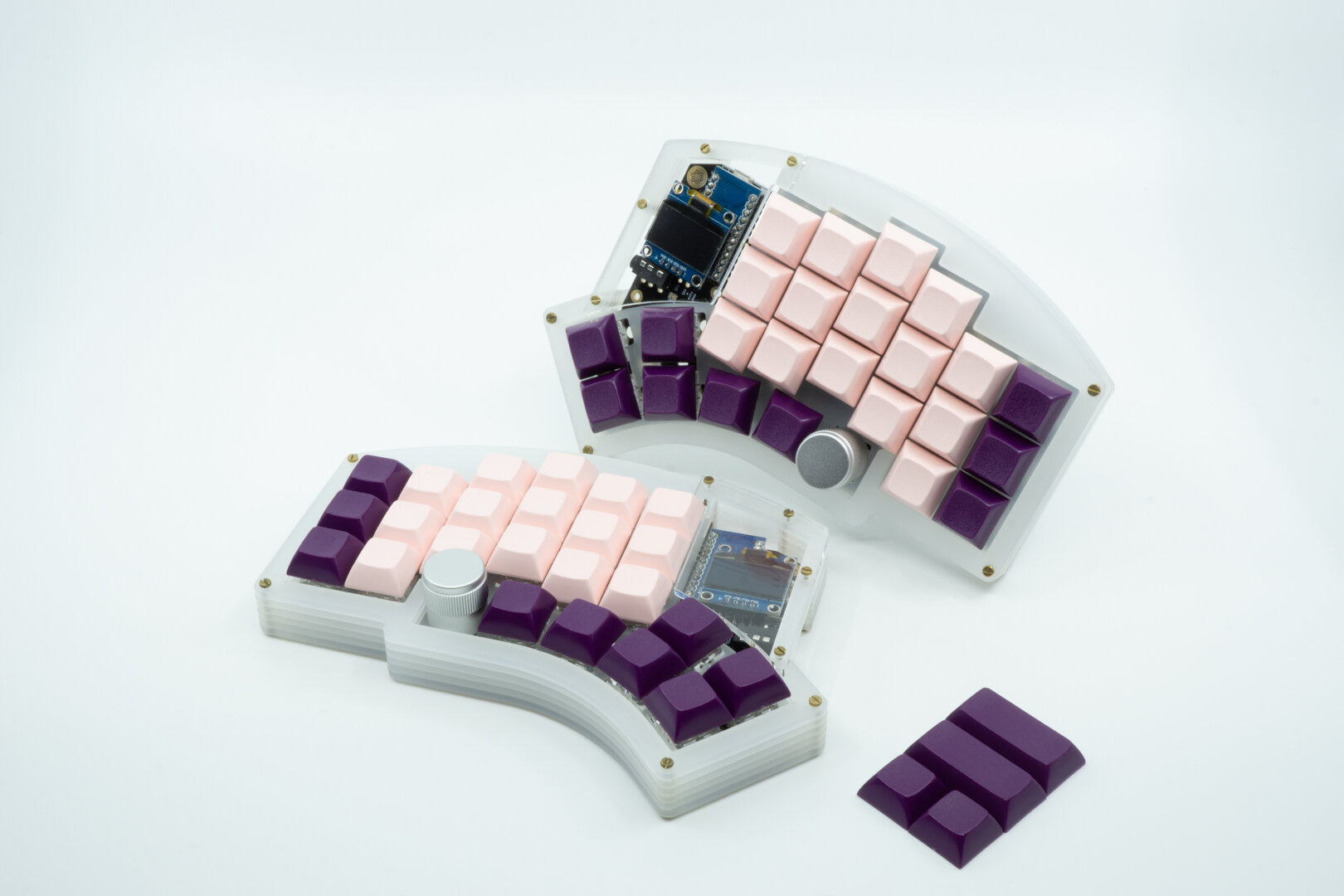 DSA_Purple_and_Pink.jpg